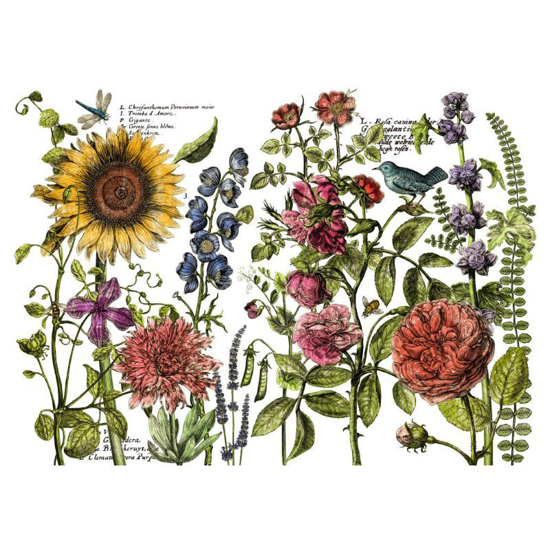 IOD Decor Transfer Botanist Journal