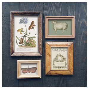 IOD Decor Transfer Brocante