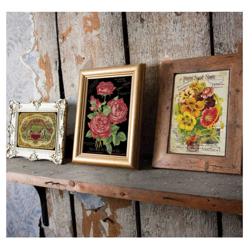 IOD Decor Transfer Ephemeral II